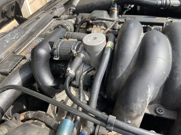 So, new transfer pipe came with new cooler sensor, so car actually runs a little better.  Since I broke the vanity covers trying to pry out the stuck middle pins, it’s actually drying out, and I can hear what the valve train is doing when hot. Still waiting on some parts, but it’s moving again. 