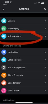 Select Voice and sound