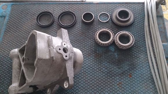 rear bearing