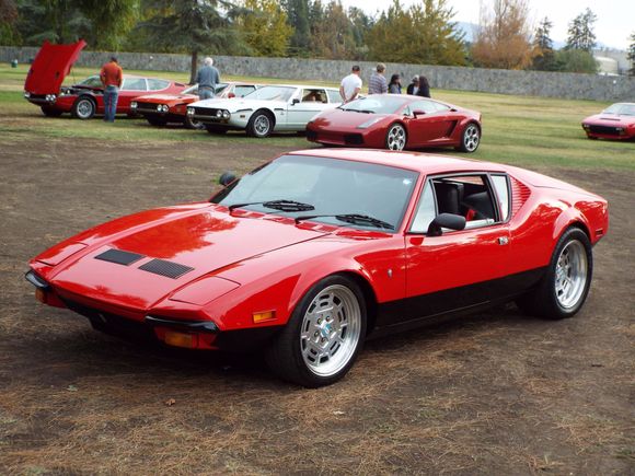 The beastly cat home again after over 4 years