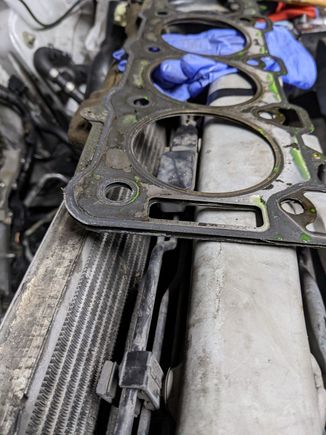 Layers of head gasket splitting apart