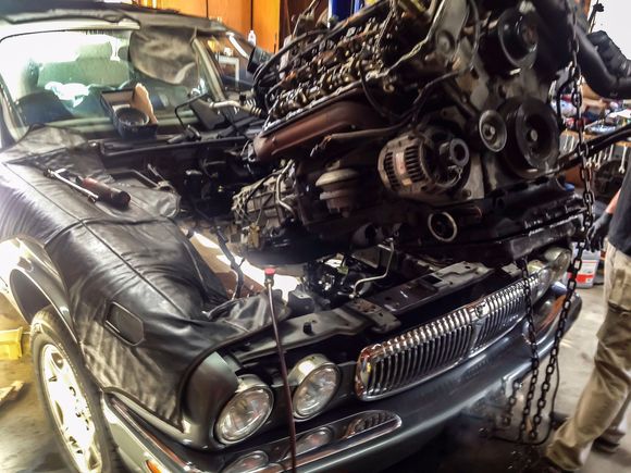 Pulling the engine for the rebuild