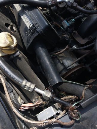 Front passenger side