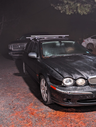 Damage from low-speed deer impact