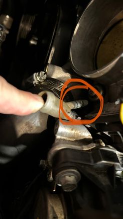 It comes out below the throttlebody