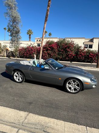 Free Birthday ride at 97!