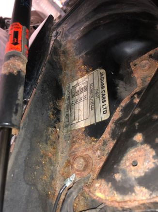 Surface Rust!!!!