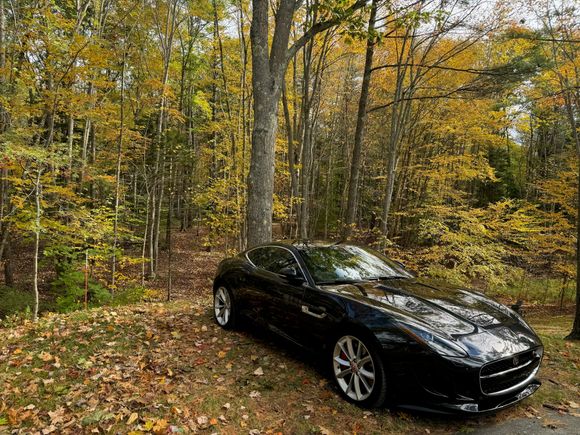 Nothing like a beautiful fall day in Maine…