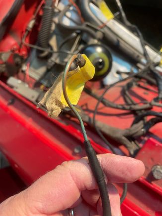Close up. Green with brown stripe, “L” shap d female spade connection. 