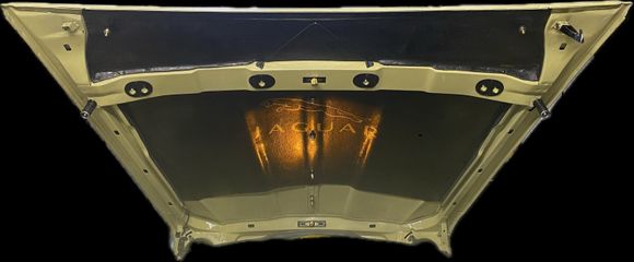 Lighted Fiberglass sound deadening backed Hood Liner