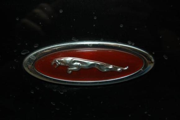 Red leaper side badge