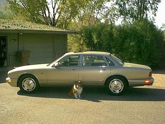 Spencer and my 3rd xj6