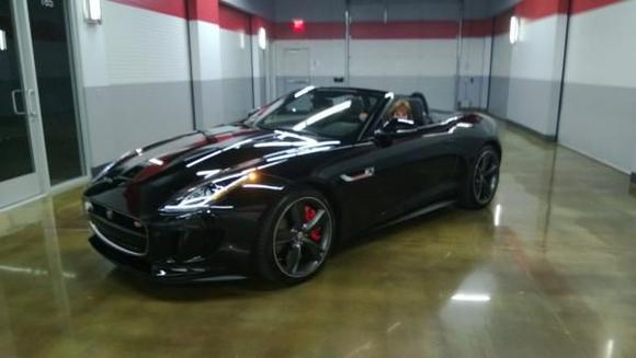 F-Type