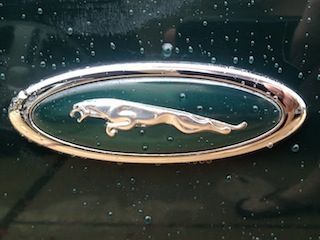 Fender Jaguar Logo
