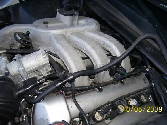 Jag pics 006
