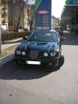 Jaguar 002