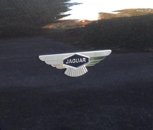 image vintage style winged side badges