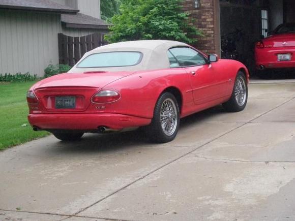 Red Cat, rear