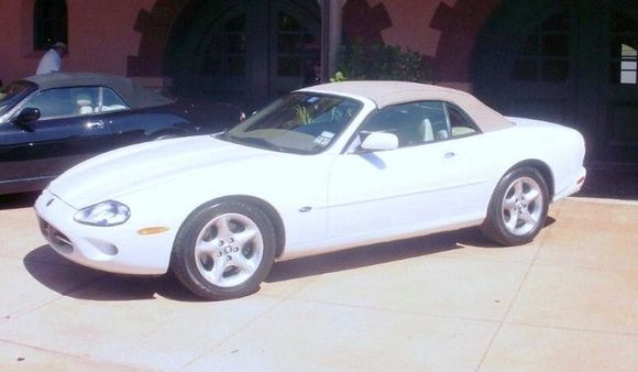 Prissy 2000 XK-8 In San Antonio Concours. Multiple LCNA Champ, Champion Division