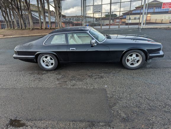 I have bought the original 15in Latices  