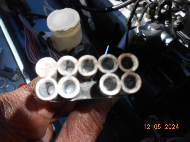 Harness on car (FEMALE)