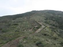 IMG 6952