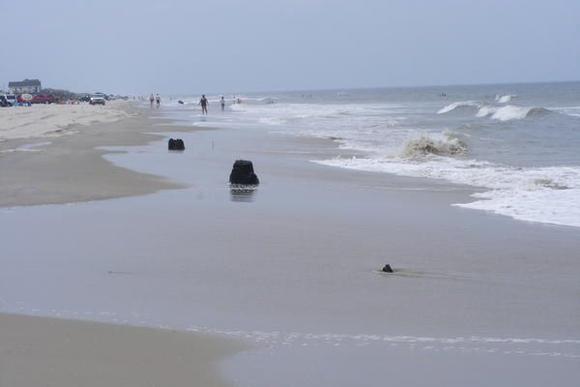 Stumps on the beach.