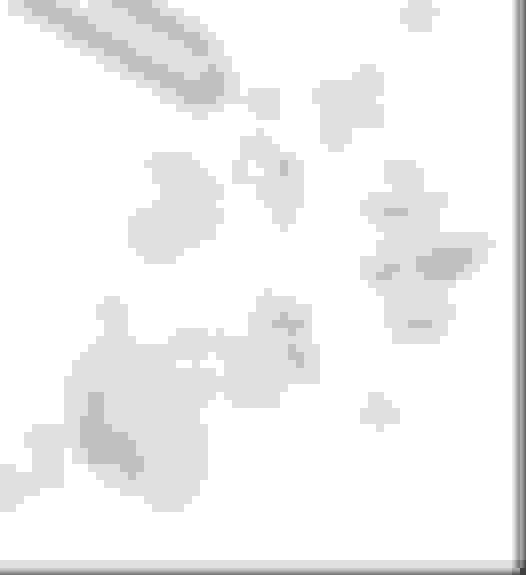 2009 Kawasaki 4010 Mule Driven Clutch removal Kawasaki Forums