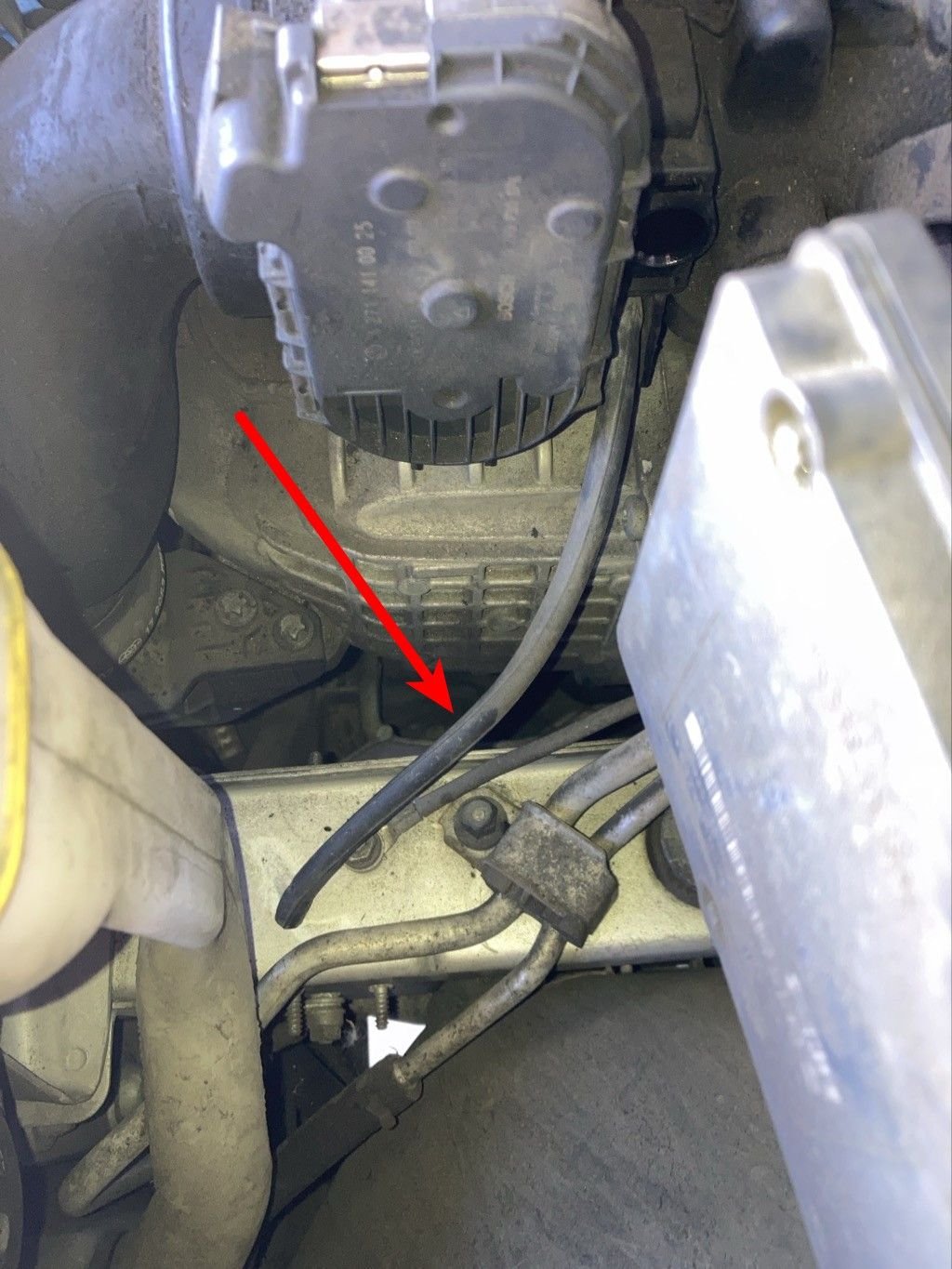 The detached hose