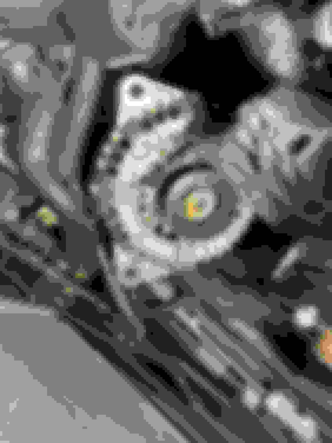 S55 Alternator Change Forums