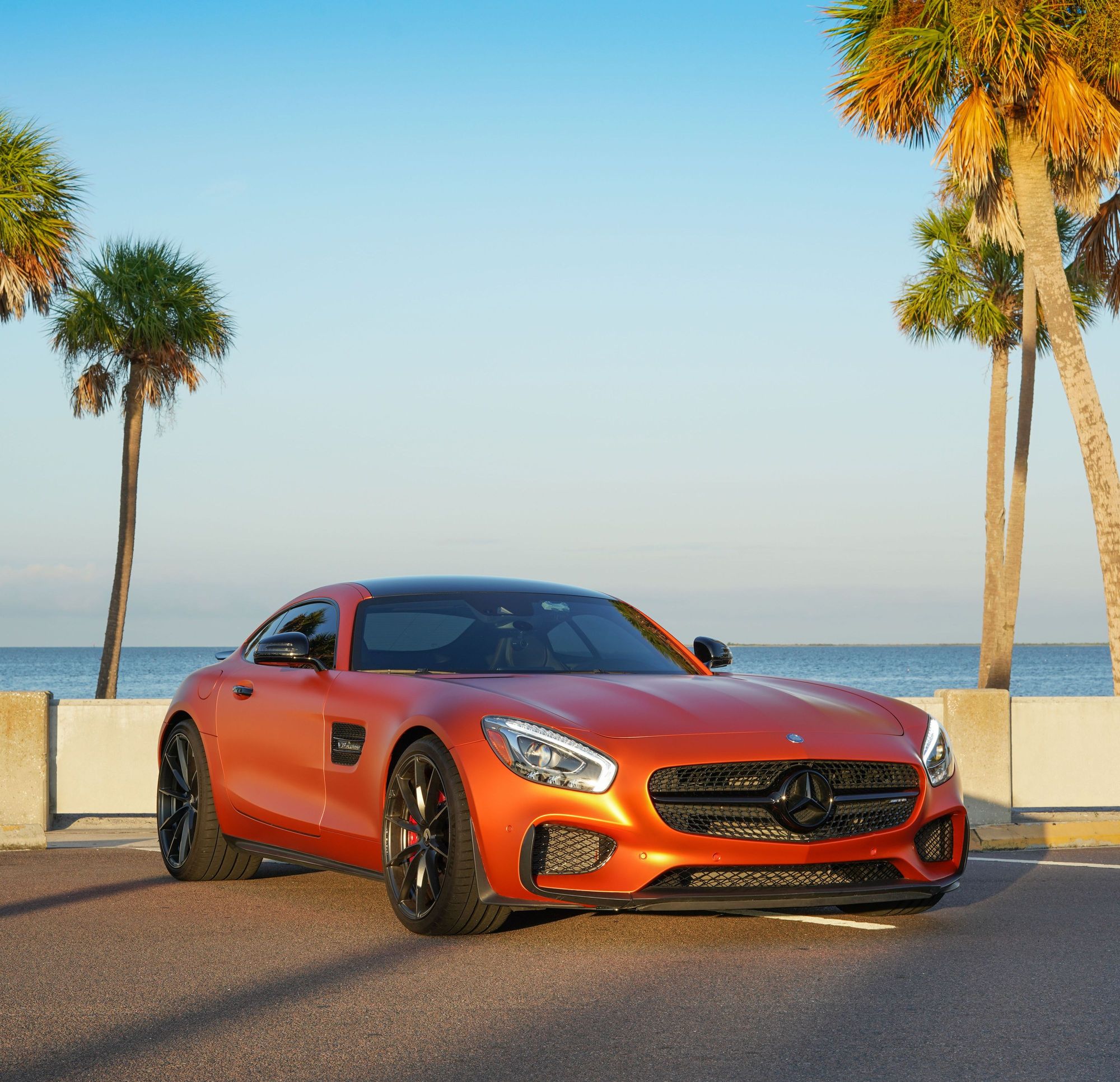 2016 Mercedes-Benz AMG GT S - 2016 Mercedes-Benz AMG GT S Edition 1 - Used - VIN WDDYJ7JA9GA002954 - 24,028 Miles - 8 cyl - 2WD - Automatic - Coupe - Gray - Tampa, FL 33556, United States