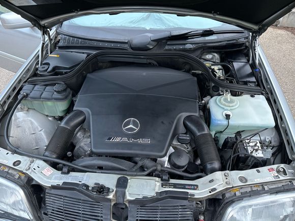 Little by little cleaning the engine bay. Just installed 2 new air filters. 