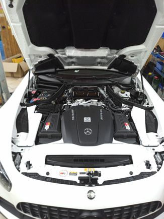 Colored engine bay