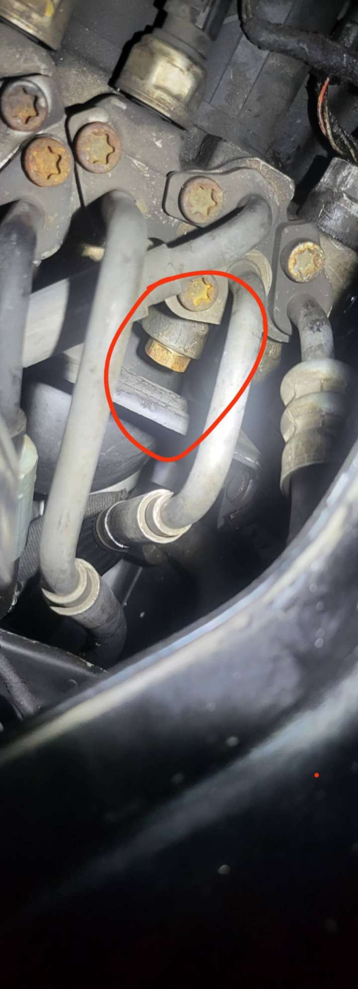 the bolt that has an ripped o ring