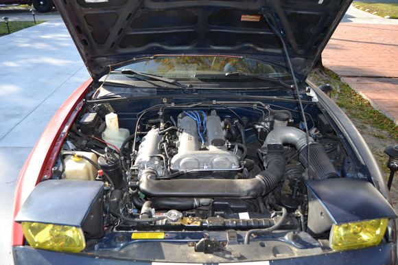 Super unmolested engine bay