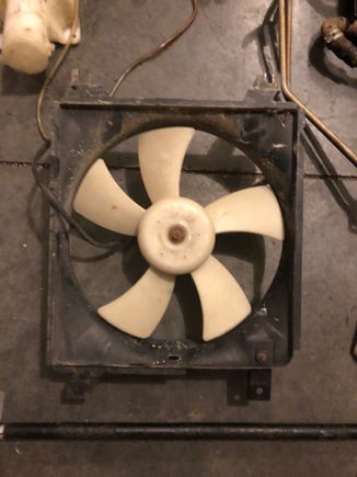 RADIATOR FAN