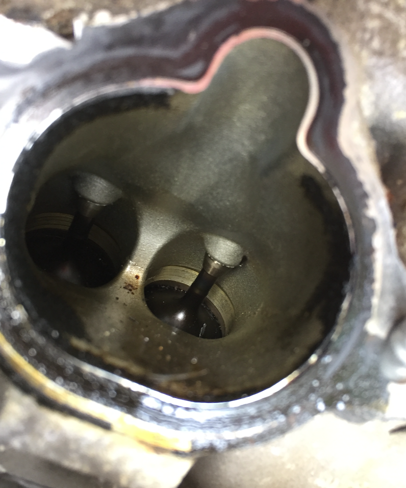 DIY Intake valves/fuel system cleaning MyG37