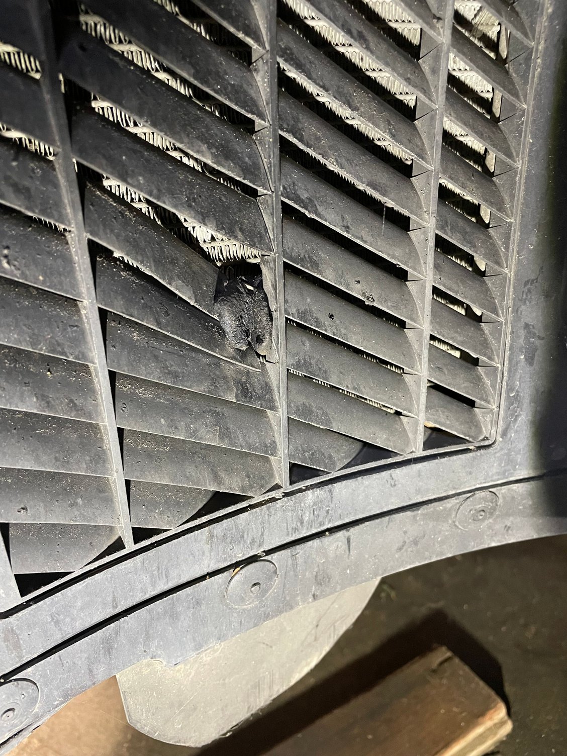 Tire rubber slag damage on the vent louvers for the auxiliary radiator.