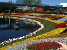 disneyflowers