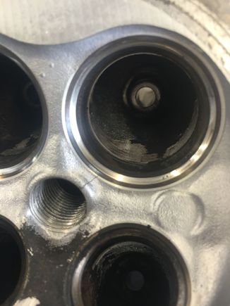 Dead Head :(