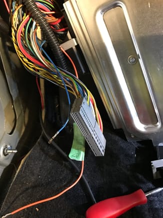 Footwell module (blue wire for parking light switch)