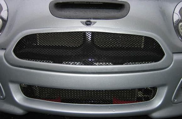 horn in grill