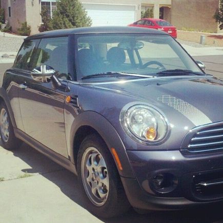 showing off the bonnet stripes