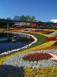 disneyflowers