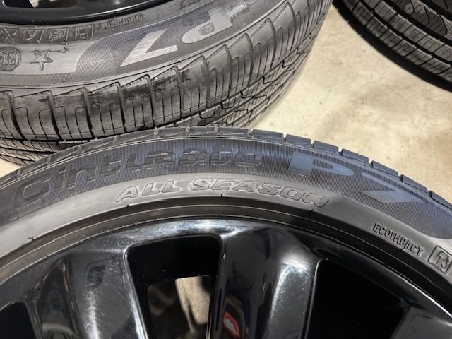 Wheels and Tires/Axles - Set of OEM MINI Wheels & Tires - Used - All Years  All Models - All Years  All Models - All Years  All Models - Savannah, GA 31406, United States