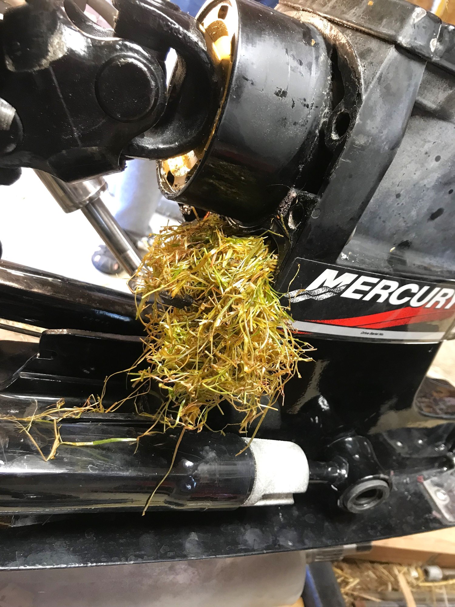 Suddenly lost water pressure and got overheat alarm... Page 2