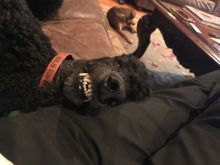 He also thinks he’s funny!