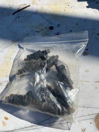 8 large body injectors 100.00