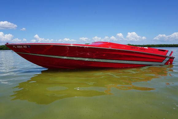 Best survivor out there.