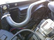 Ford Torino fan